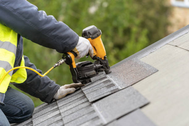 Best Roof Coating and Sealing  in Pierce, NE